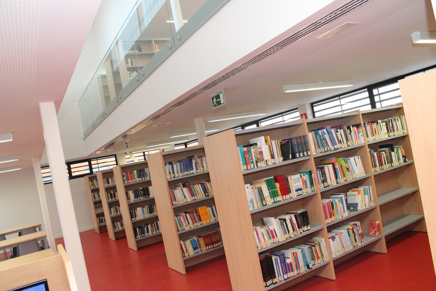 Arranca el 'Rincón del libro' en la Biblioteca de La Rinconada
