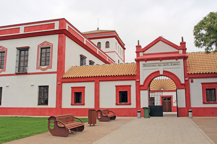 Aula de la Experiencia con la Universidad de Sevilla desembarca en la Hacienda Santa Cruz