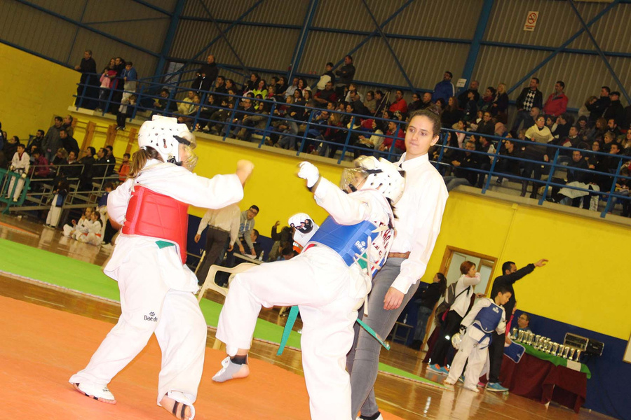 400 deportistas en el IV Trofeo La Rinconada de Taekwondo