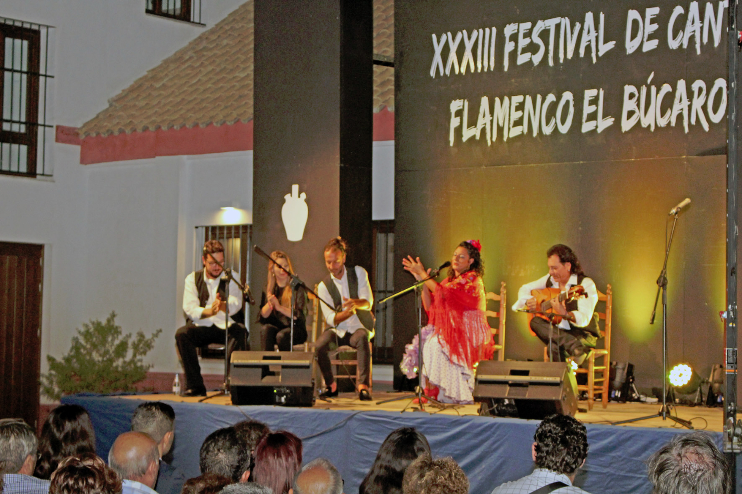 El Búcaro dedica su festival a la Fundación Cristina ...