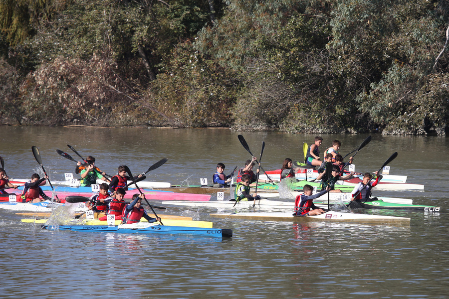 IV Trofeo La Rinconada de piragüismo