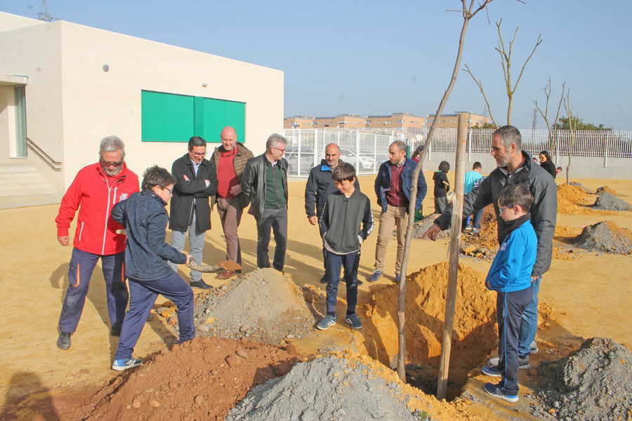 El Plan árbol culmina el proyecto de voluntariado ambiental