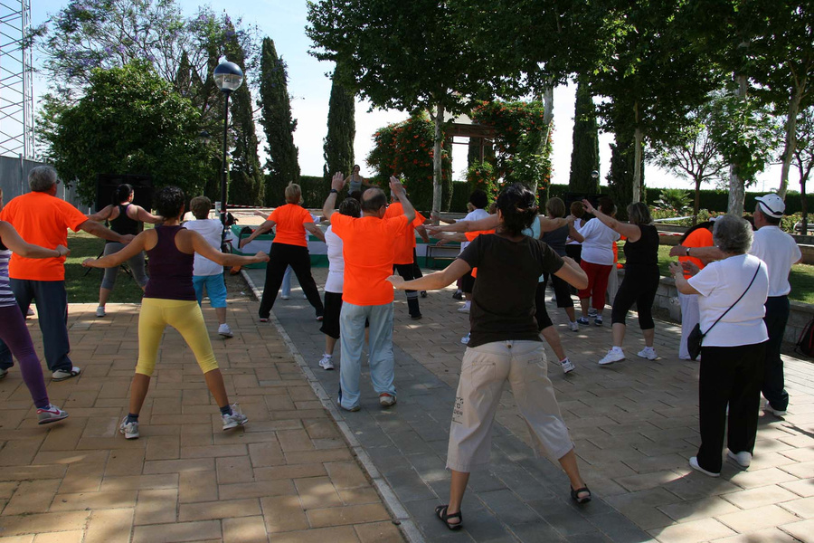 Seguimiento a las personas mayores usuarias del Patronato de Deportes