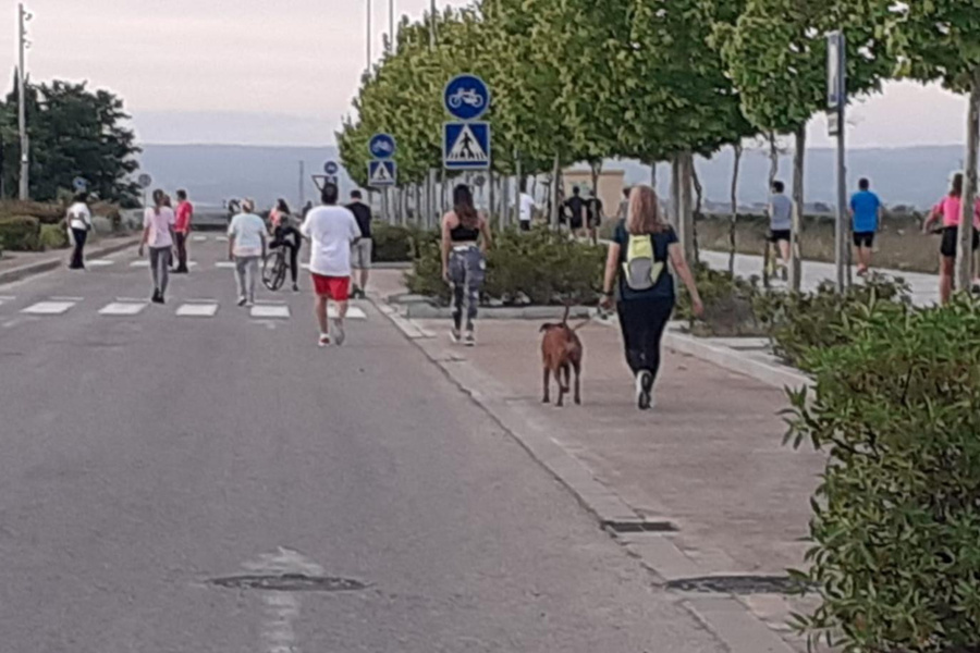 La Avenida de La Unión se peatonaliza para facilitar las indicaciones del Estado de Alarma