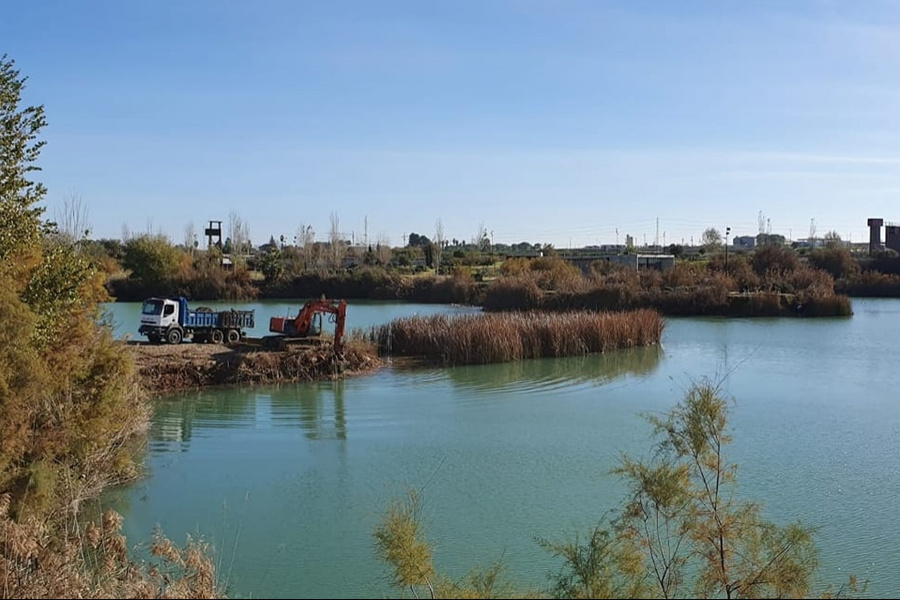 Mantenimiento y mejora de la lámina de agua del parque de ‘Las Graveras’