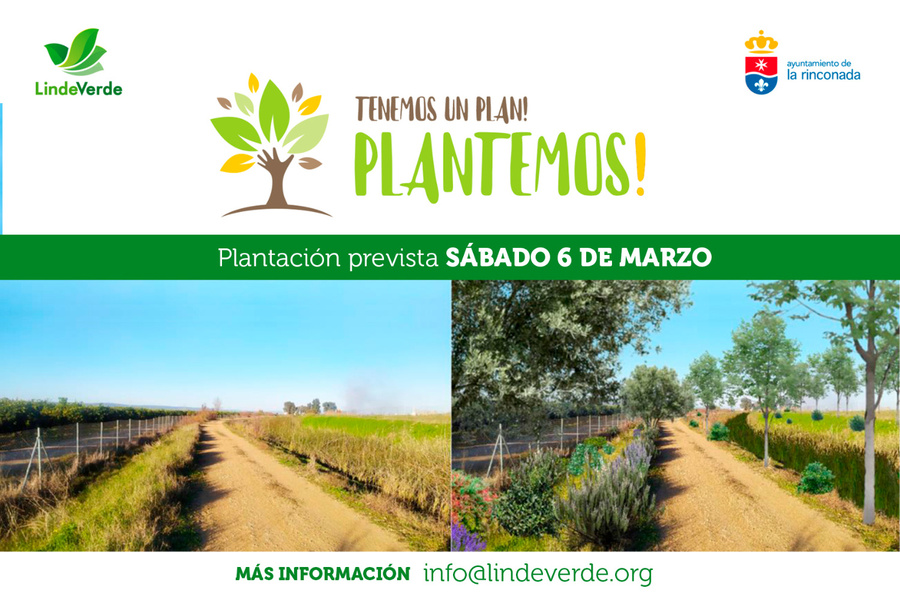 Plantemos!, un nuevo proyecto de reforestación para La Rinconada