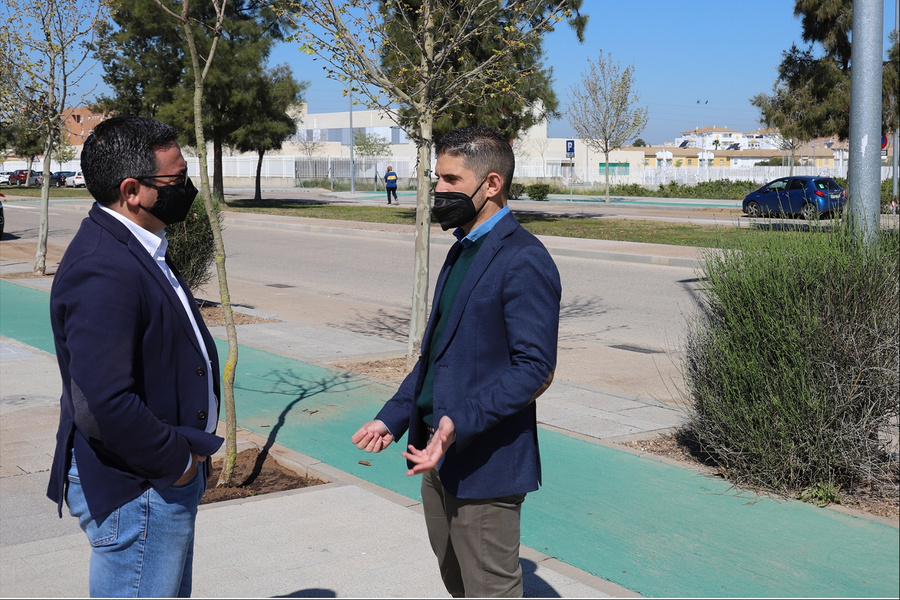 El área de Infraestructuras Públicas continúa con el Plan Árbol