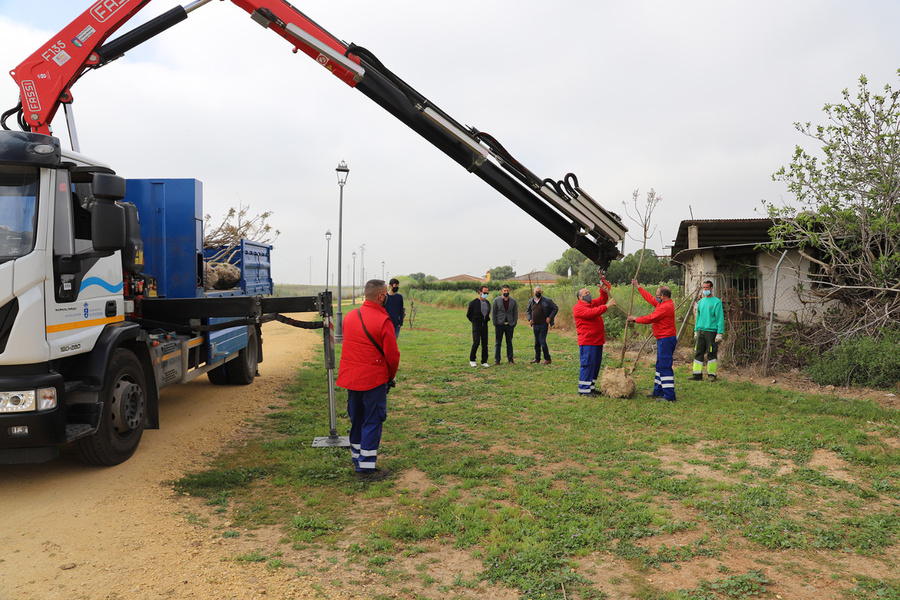 La Rinconada planta 1.500 árboles por Legislatura