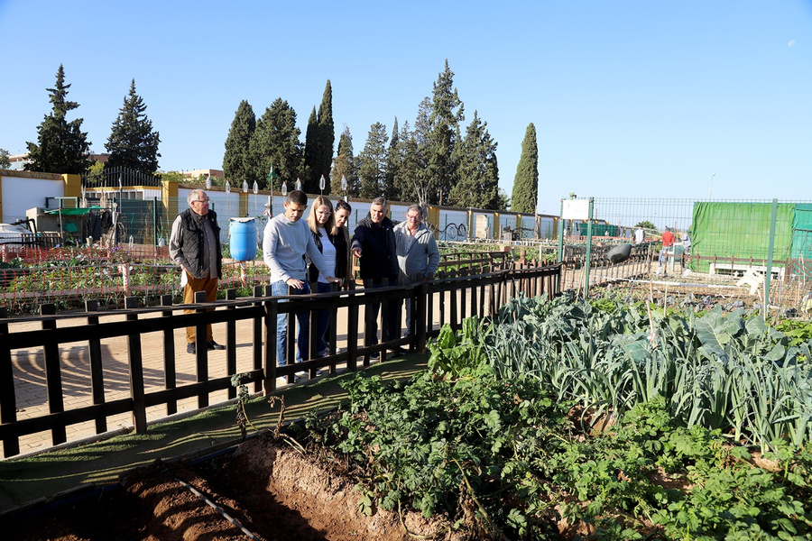 Visita a los huertos de mayores de San José para establecer las mejoras necesarias del espacio