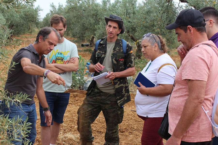25 vecinos de La Rinconada se especializan profesionalmente en el sector olivarero con el programa Solidarios Coosur