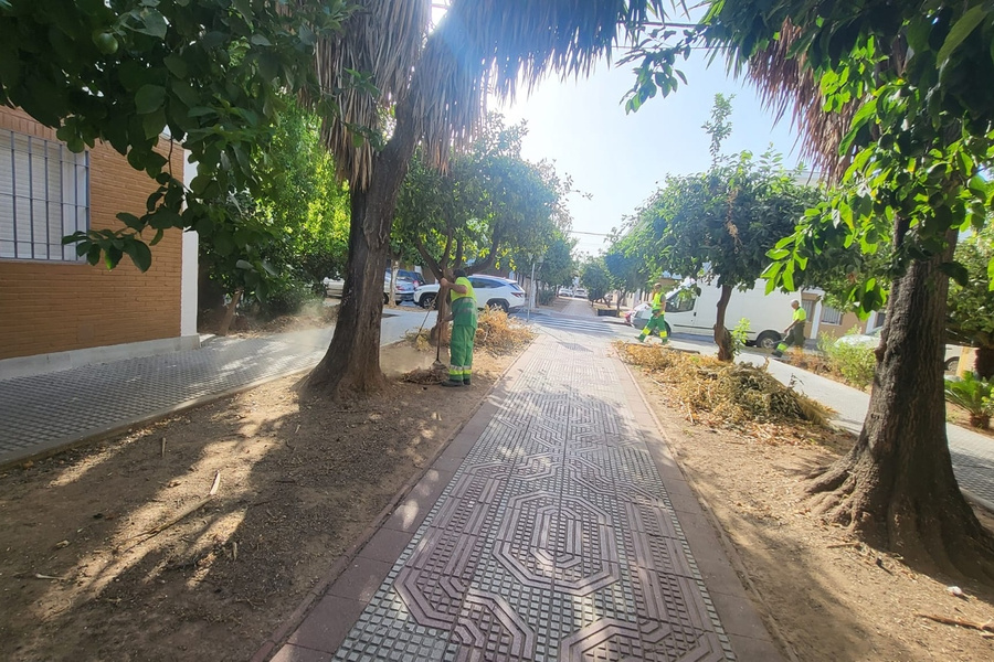 Refuerzo en la limpieza y cuidados de los parques y jardines