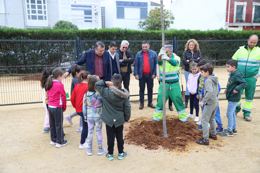 El Plan Árbol llega a los centros de Educación Primaria