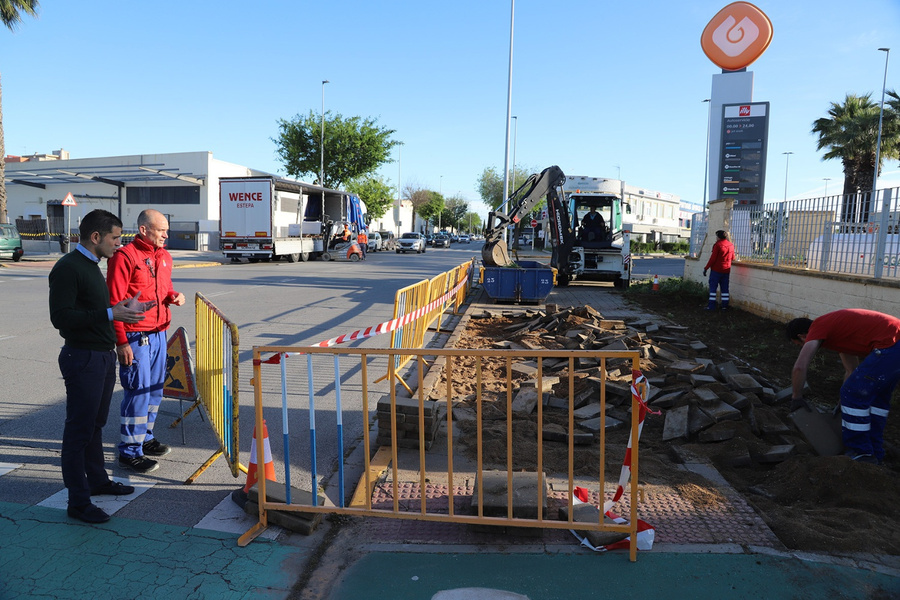 Repavimentación de la Avenida del Cáñamo y plantación de nuevos árboles