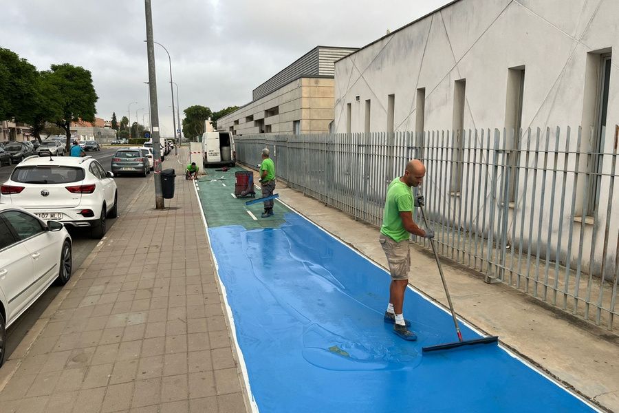Reparación de la capa de rodadura y pintado del Carril Bici de La Rinconada