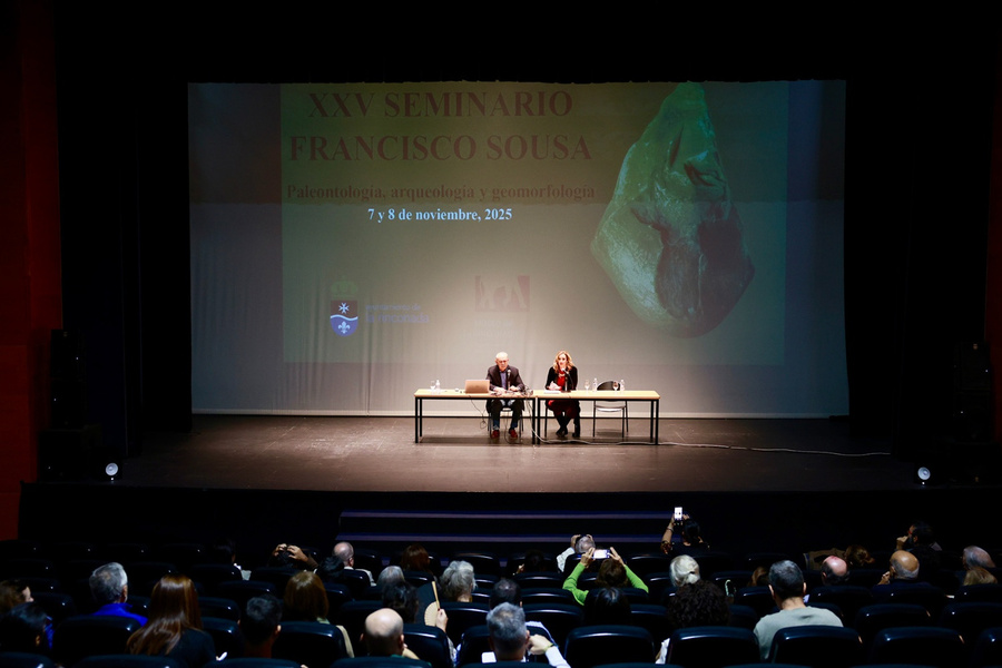 El Seminario Francisco Sousa, 25 años de investigación y aprendizaje