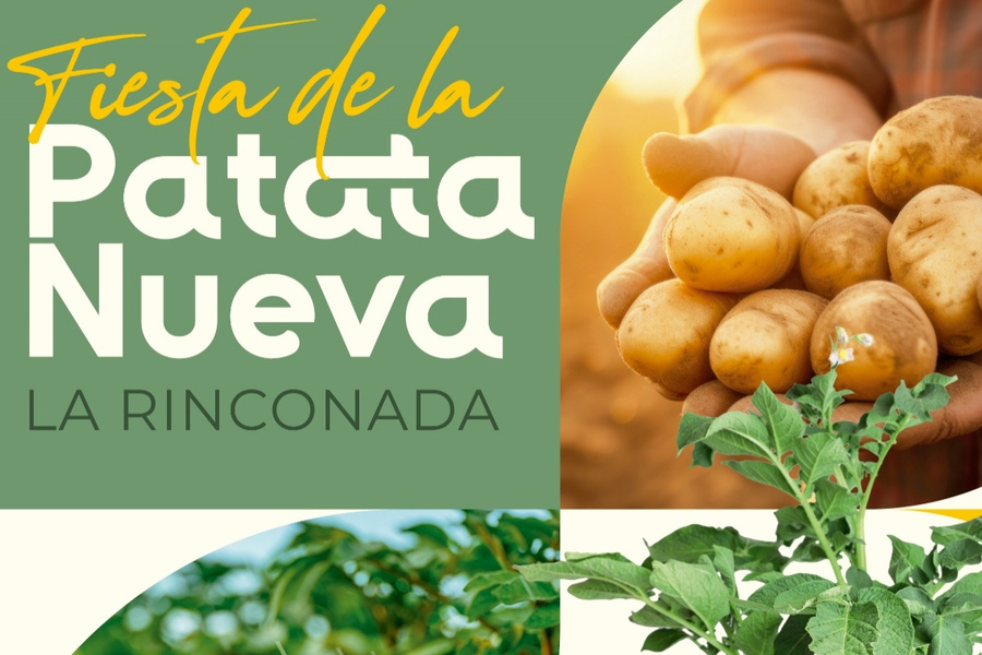 La Rinconada rinde homenaje a su patata nueva como producto estrella de sus campos y su gastronomía