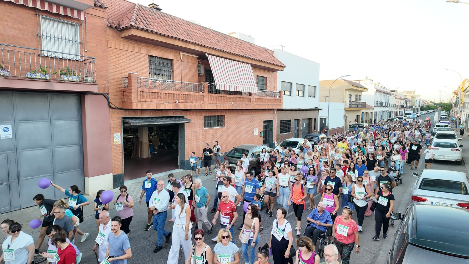 IX Marcha por la Memoria, La Rinconada con el Alzheimer